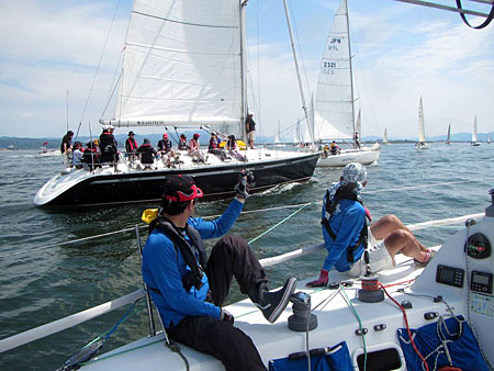 The 29th ERIKA CUP YACHT RACE